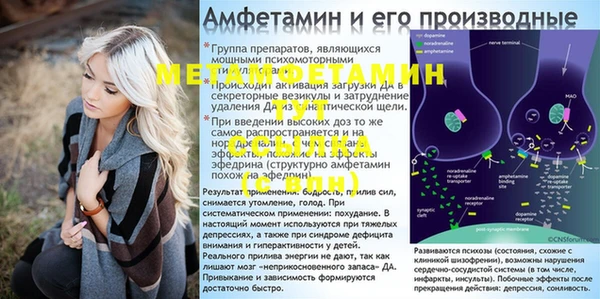 PSILOCYBIN Алзамай
