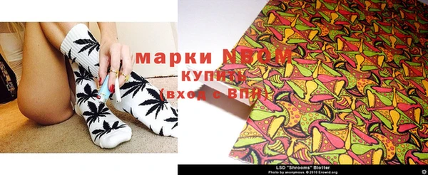 PSILOCYBIN Алзамай