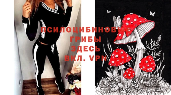шишки Алексин