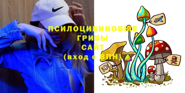 PSILOCYBIN Алзамай