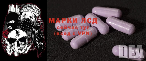 PSILOCYBIN Алзамай