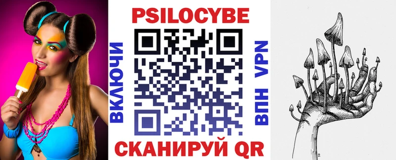 где найти   Лабинск  Псилоцибиновые грибы Magic Shrooms 